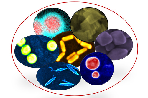 Advanced Charakterisierung Grafik zur Charakterisierung von Advanced Materials