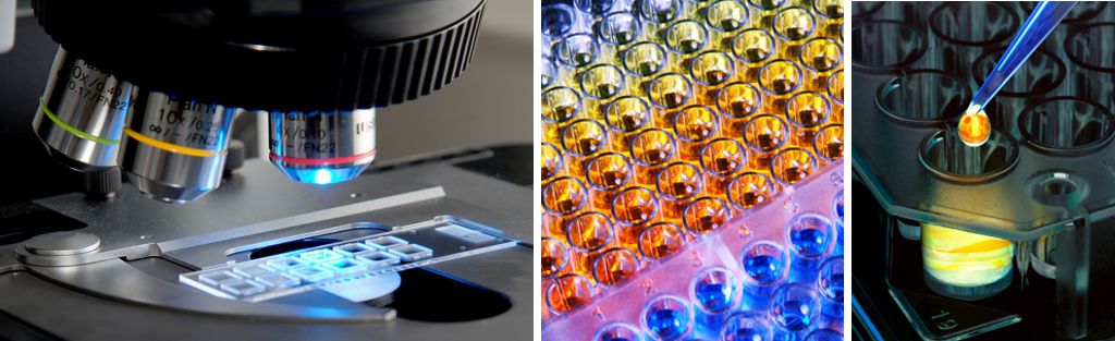 Detailfotos zu Analytical Sciences