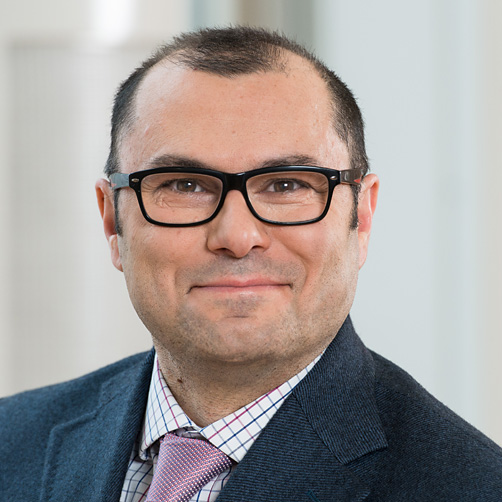 Prof. Dr./I. Giovanni Bruno, Head of Division Micro Non-Destructive Testing, Bundesanstalt f&uuml;r Materialforschung und -pr&uuml;fung (BAM)