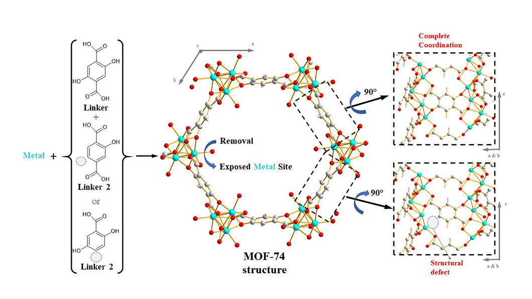 Generation of structural defects in a MOF-74 structure with Exposed Metal Sites by partial linker substitution
