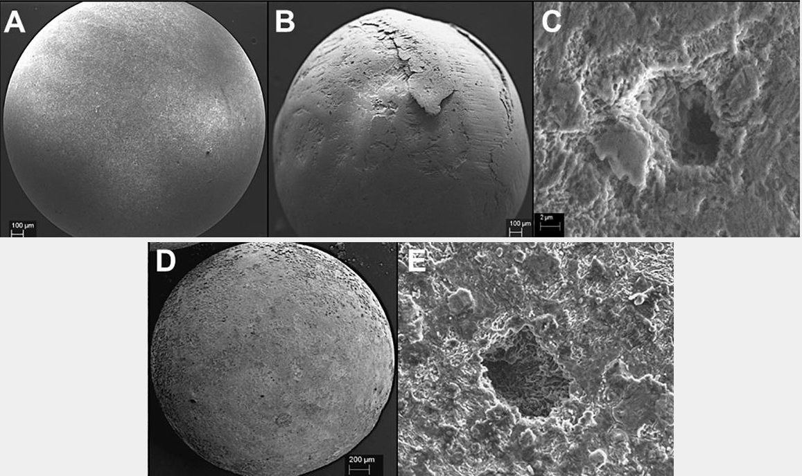 Paper des Monats 8/2020: TF Umwelt Mikrobiologisch induzierte Korrosion an Kohlenstoffstahlkugeln (B-E) im Vergleich zu Kontrollkugeln ohne Korrosion (A)