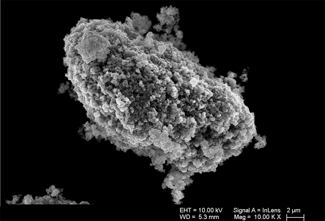 Paper des Monats 06/2021: TF Infrastruktur Rasterelektronenmikroskop-Aufnahme eines Agglomerates von nanoskaligen Aluminiumpartikeln