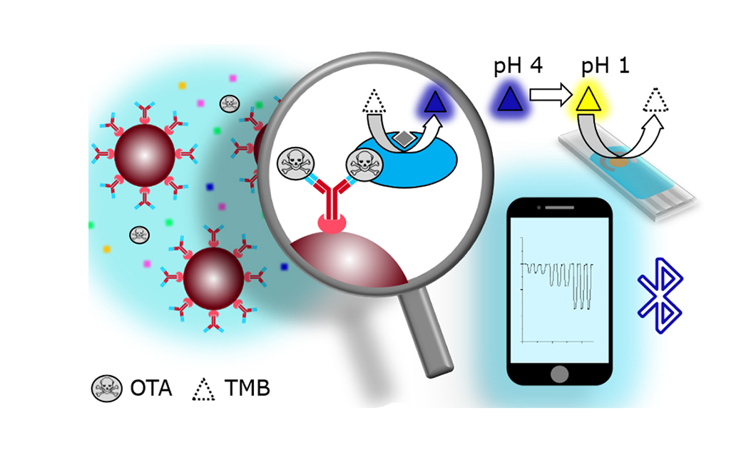 Paper des Monats 1/2022: TF Analytical Sciences Abbildung: Immunoassay für Ochratoxin
