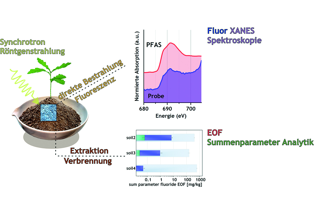 Paper des Monats 5/2022: TF Umwelt Grafik: Nachweis von PFAS in Umweltproben über zerstörungsfreie Analytik mittels F-XANES Spektroskopie oder Flüssigextraktion und EOF Summenparameteranalytik