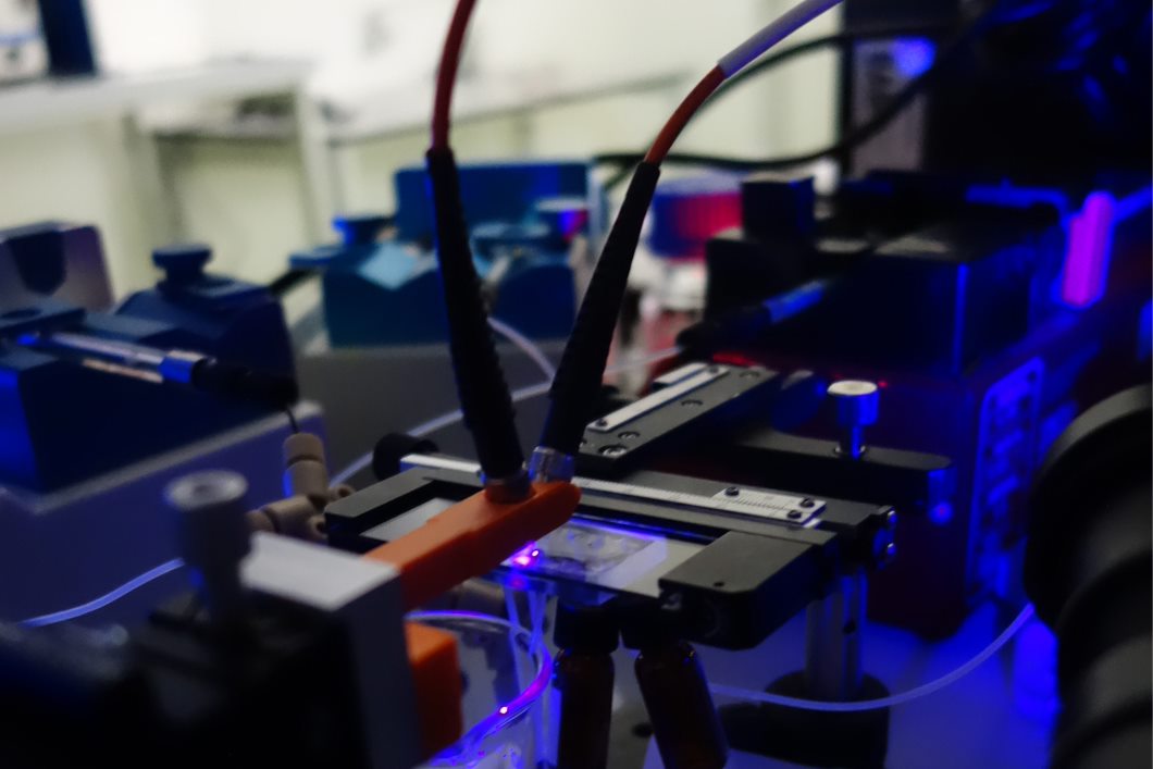 Photo of the chip with detection unit