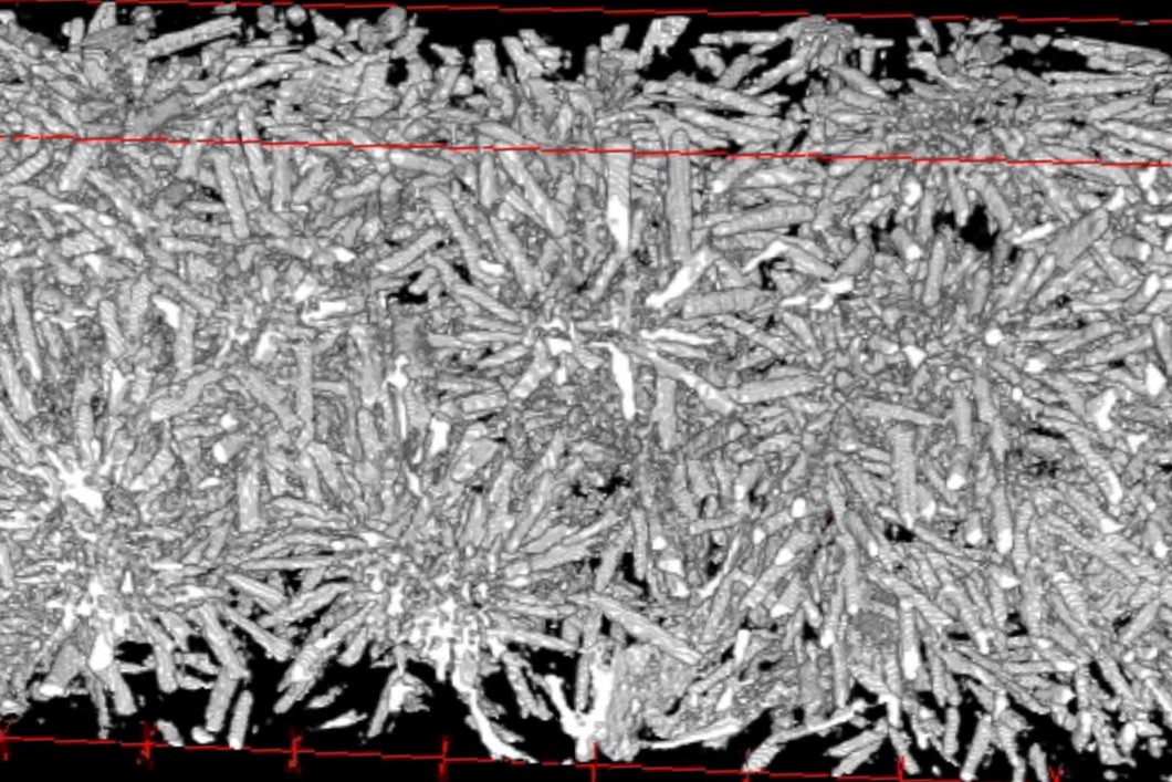 Paper des Monats 07/2023: TF Materials Rendering of the crystal growth in glass-ceramic for dental applications.
