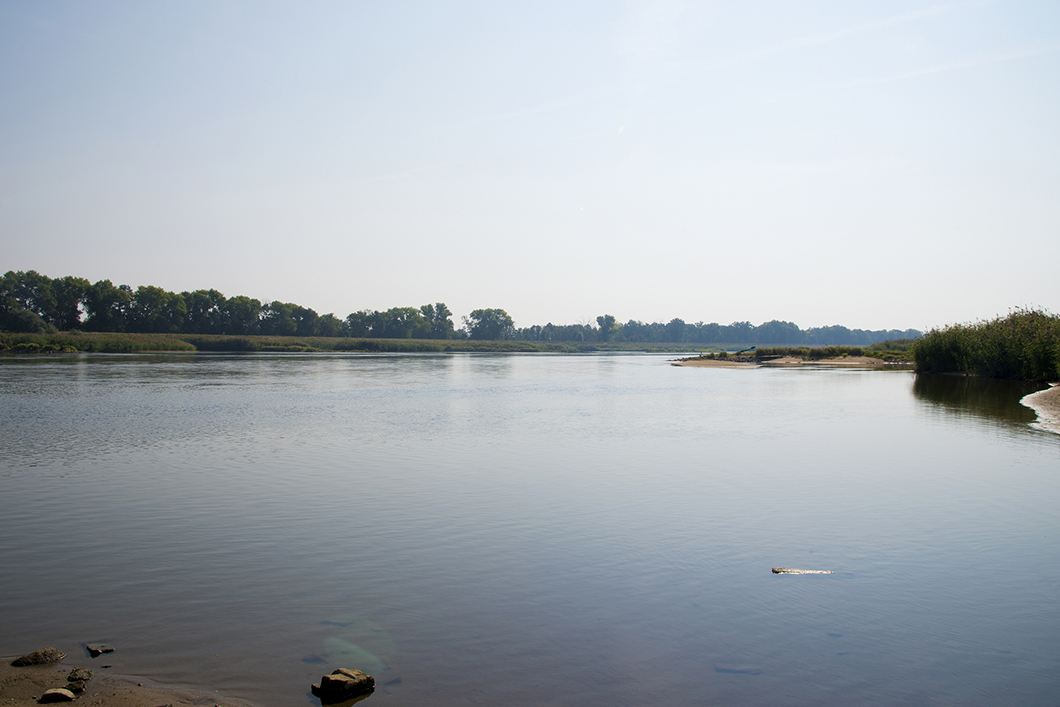 Paper of the Month 08/2023: TF Environment River Oder, view towards Poland