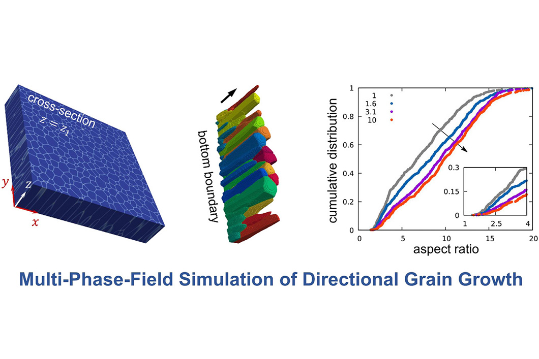 Mean-Field-Modellierung und Phasenfeldsimulation des Kornwachstums unter gerichteten treibenden Kr&auml;ften 