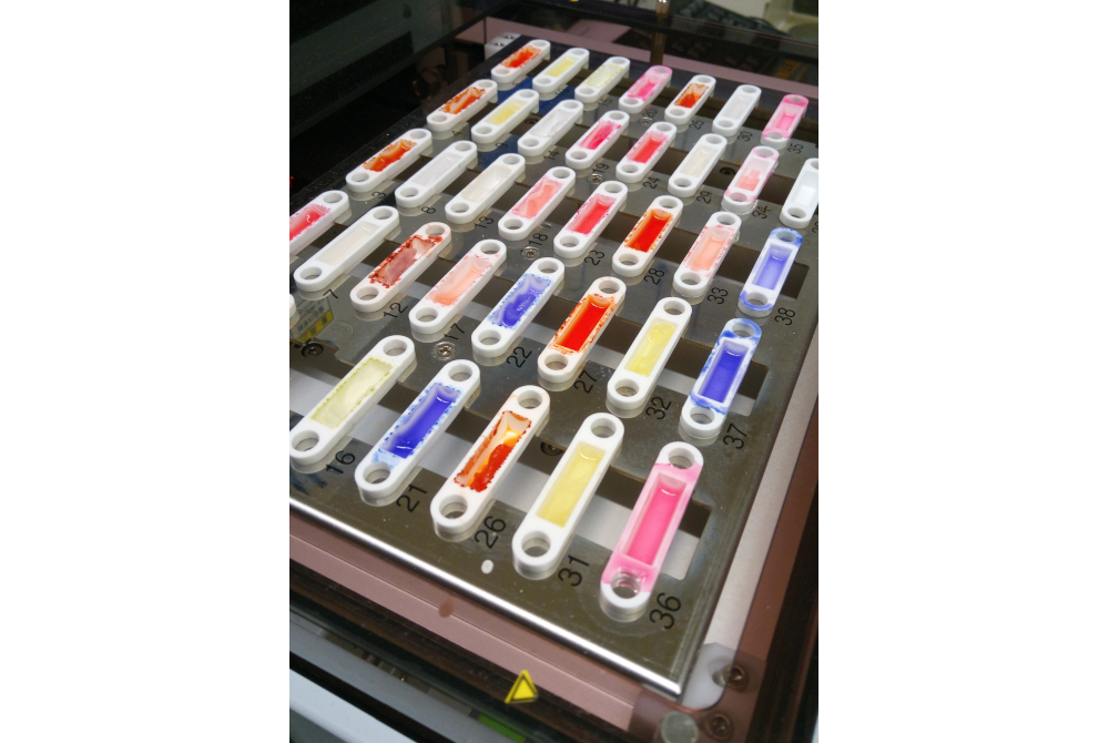 Paper des Monats 11/2024: TF Umwelt Extracts of various textiles in the autosampler of the combustion ion chromatography