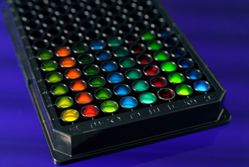 Paper des Monats 12/2024: TF Umwelt Illustration of a microtiter plate with different fluorescent solutions, which are used for the optical detection of inflammation markers.