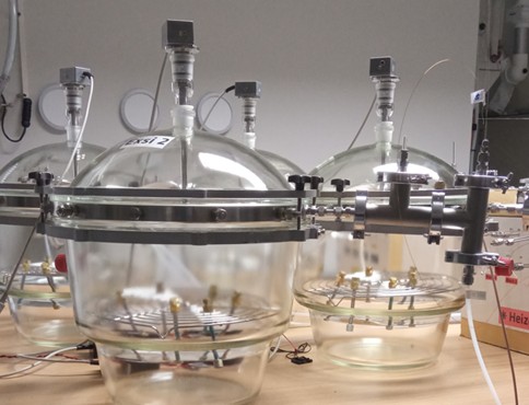 Exposure chambers in which passive samplers were exposed to a VOC/SVOC reference atmosphere for at least 7 days
