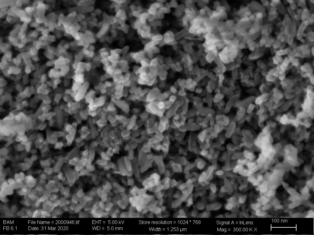 SEM image