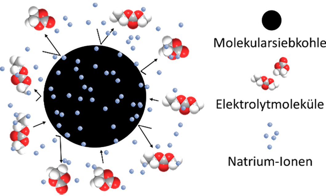 DialySorb