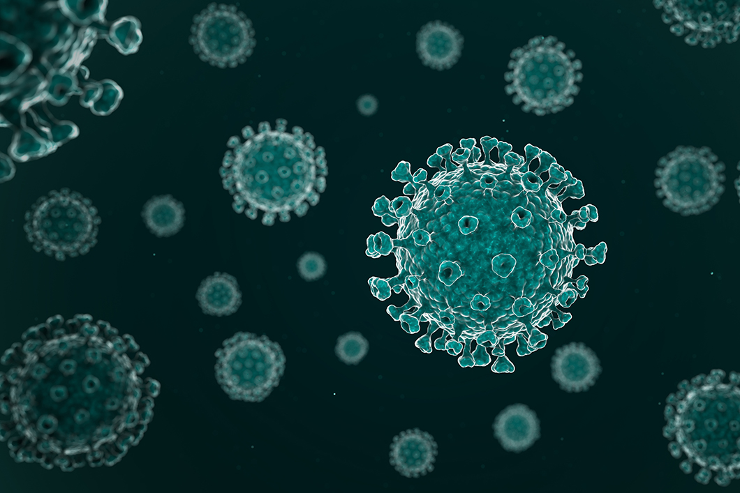 Coronavirus structure 