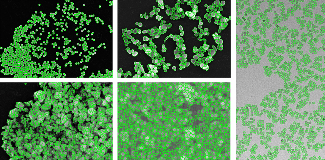 Nanoplattform Nanoparticles of gold, titanium dioxide, barium sulphate, silicon dioxide and iron oxide imaged using different techniques.