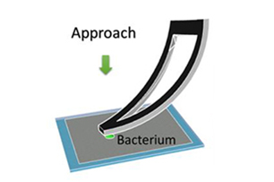 Microfluidic device (detail) Microfluidic device (detail)