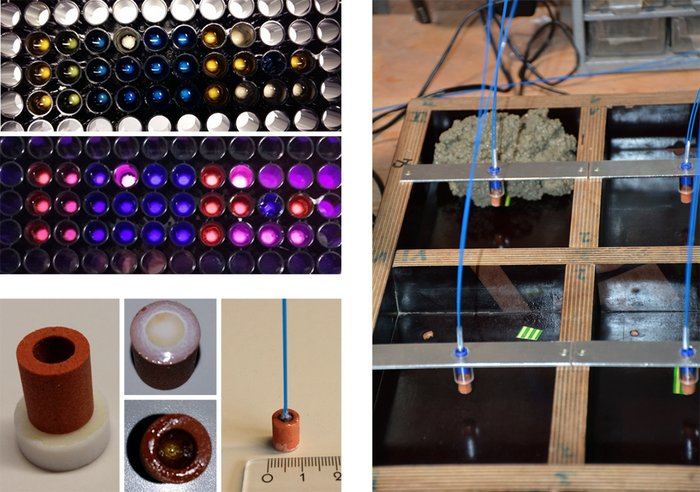 Mikroplatte mit Sensorschichten und Fluoreszenzreaktion, Sensorvorbereitung), Sensoren während des Betonierens