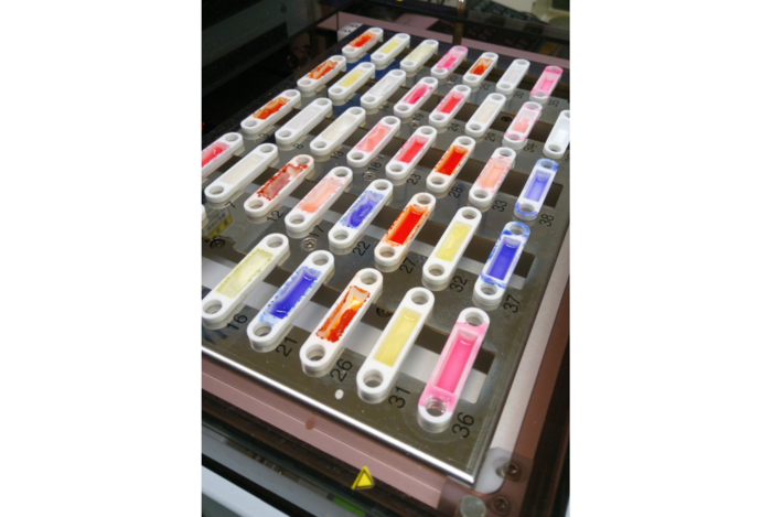Paper des Monats 11/2024: TF Umwelt Extracts of various textiles in the autosampler of the combustion ion chromatography
