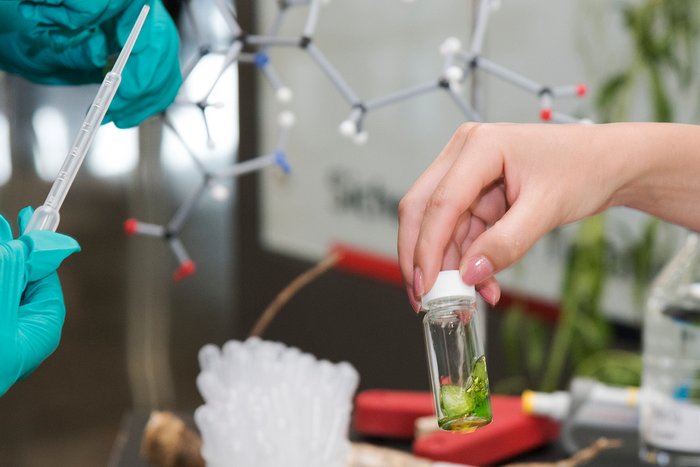 Wissenschaft zum Anfassen