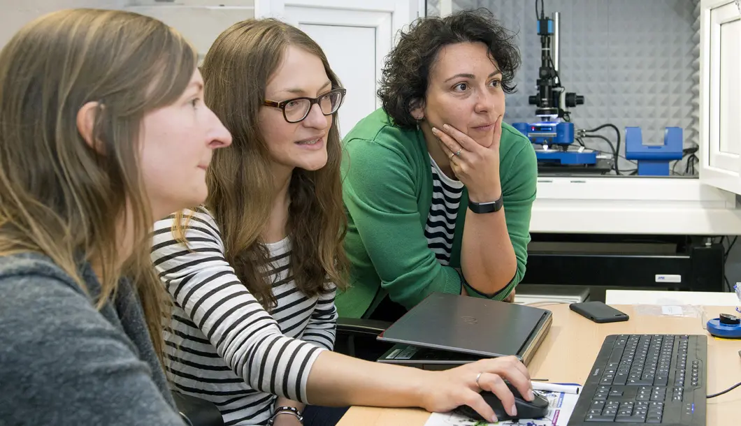 Working at the atomic force microscope: &hellip;