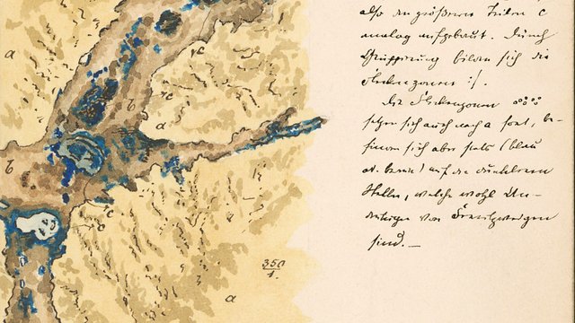 Zeichnung von Adolf Martens (1850-1914): Ferritader nach dem Anlassen; Oberfl&auml;che von Tiegelstahl 0,4 C., Gef&uuml;ge mit Ferrit und Perlit  Kachel Vorschau
