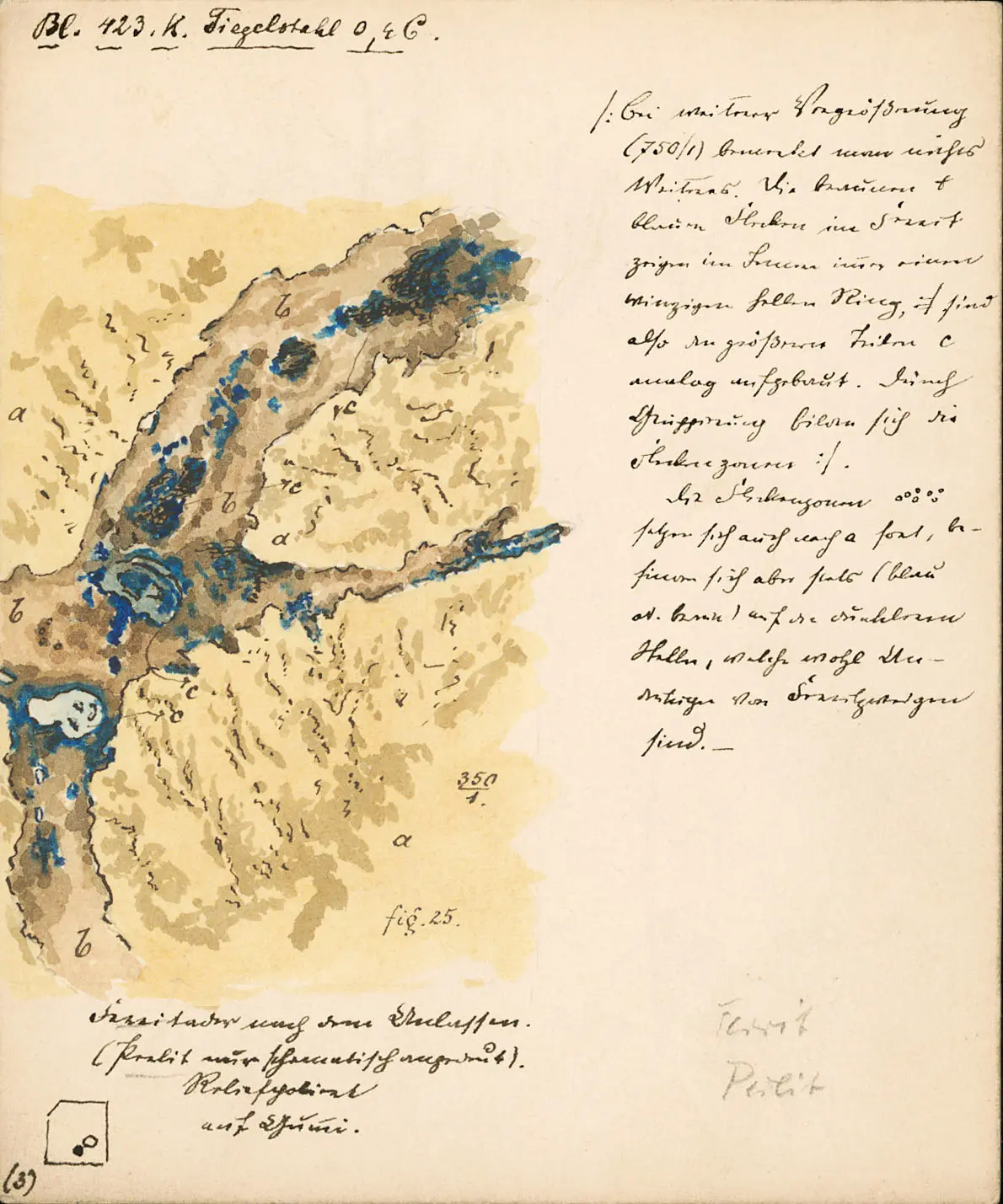 Drawing by Adolf Martens (1850-1914): ferrite vein after tempering; surface of crucible steel 0.4 C., structure with ferrite und perlite