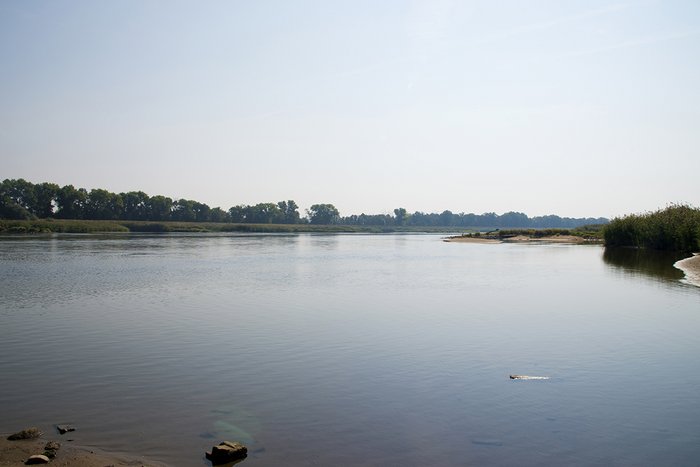 Paper of the Month 08/2023: TF Environment River Oder, view towards Poland