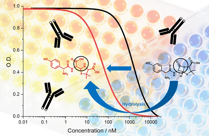 Paper of the month 08/2020: Focus area Environment Illustration: Upon hydrolysis, ß-lactams form the respective open-ring form.
