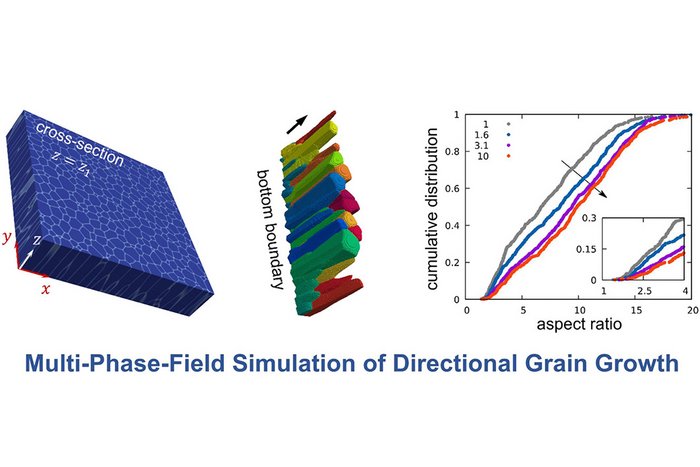 Mean-Field-Modellierung und Phasenfeldsimulation des Kornwachstums unter gerichteten treibenden Kr&auml;ften 
