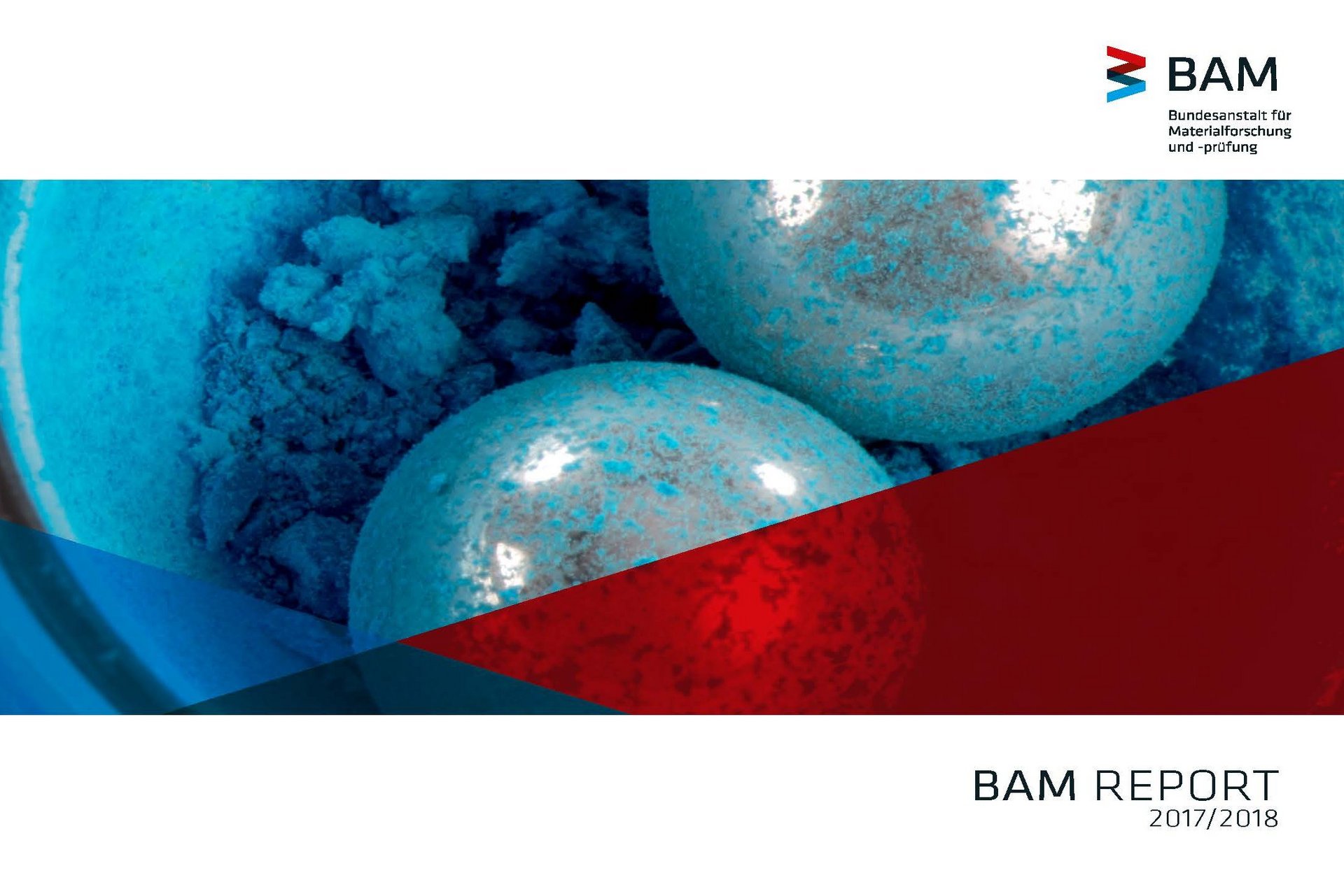 BAM Report 2017-2018