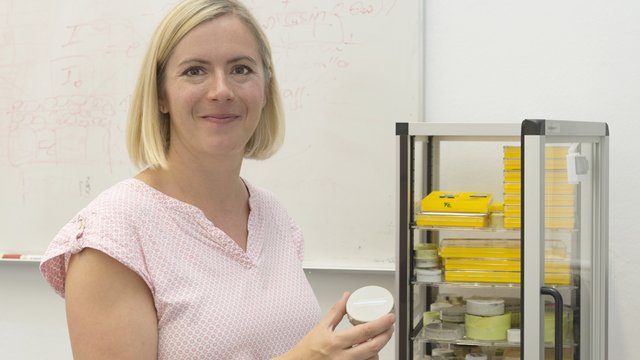 Prof. Dr. Christiane Stephan-Scherb  Tile preview