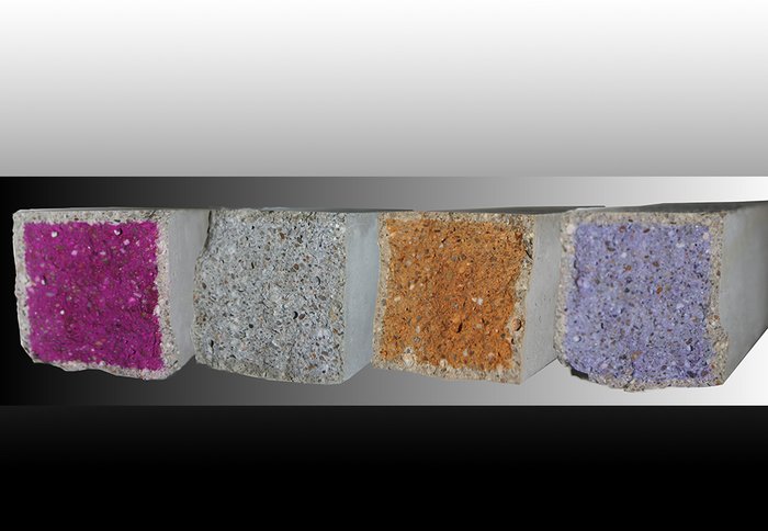 Carbonated specimens after application of the pH indicator solutions