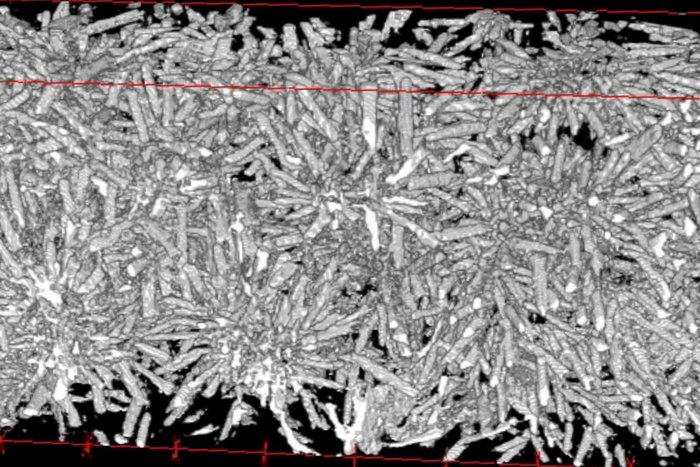 Paper des Monats 07/2023: TF Materials Rendering of the crystal growth in glass-ceramic for dental applications.