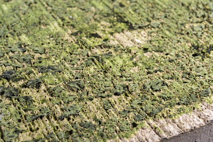 Paper of the month 02/2024: TF Environment English Unraveling Concrete Bioreceptivity: Understanding biofilm formation and ways to enhance concrete bioreceptivity for green facade applications.