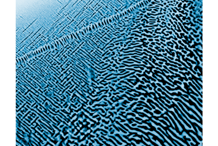 Aufnahme der Nanostruktur einer Legierung aus Aluminium, Molybdän, Niob, Tantal, Titan, Zirkon mit dem Rasterelektronenmikroskop. Das Material ist besonders für katalytische Prozesse geeignet.
