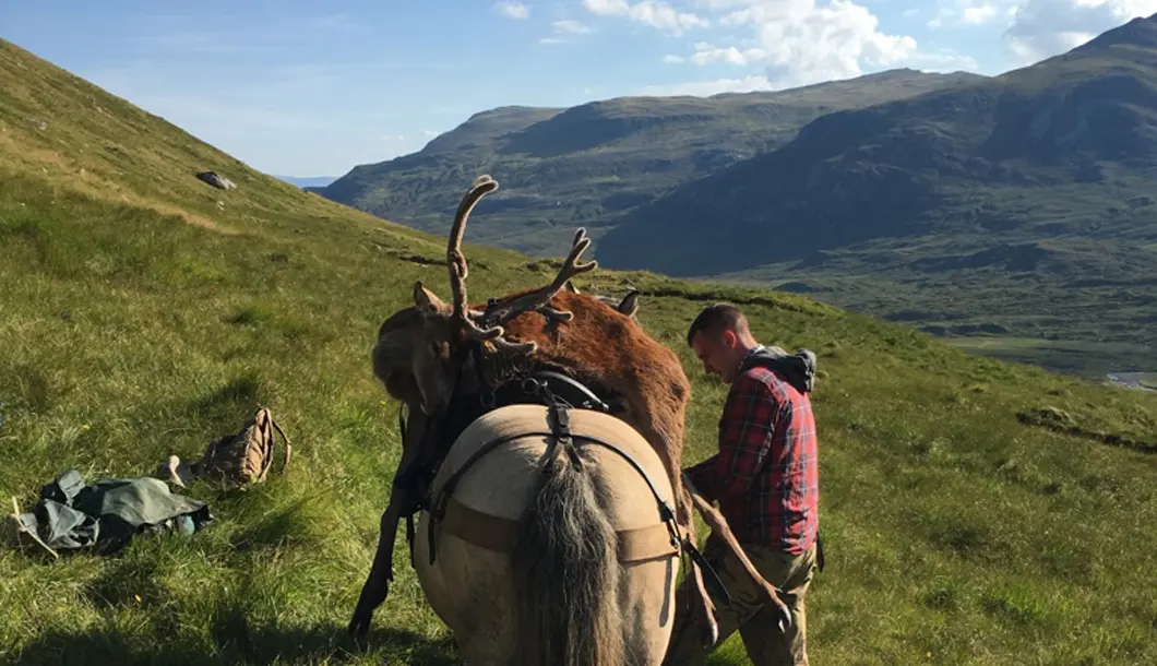 Stalking mit den Gamekeepern von Benmore (Laura Sch&uuml;tze)