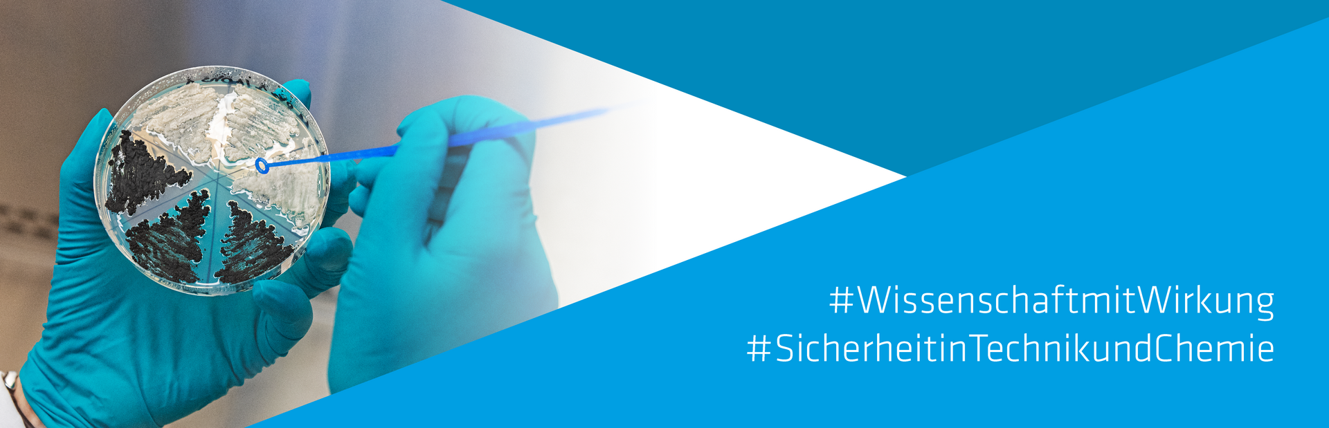 #WissenschaftmitWirkung #SicherheitinChemieundTechnik