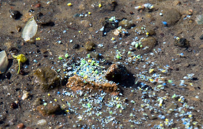 Mikroplastikpartikel in der Natur