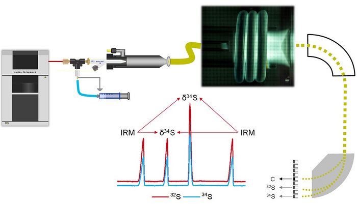 Schematic setup of the hyphenation of capillary electrophoresis with multicollector-ICP-MS for species-specific isotopic analysis