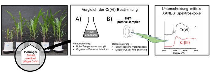 Vergleich von verschiedenen Bestimmungsmethoden f&uuml;r Chrom(VI) in Phosphor-D&uuml;ngemitteln