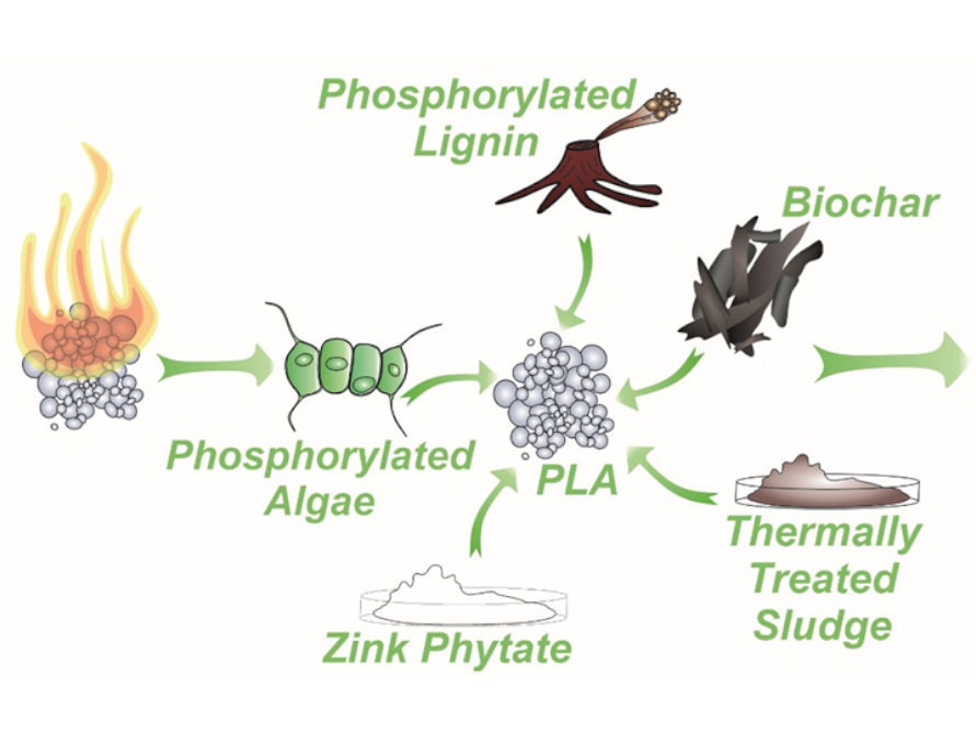 Nachwachsende phosphorhaltige Abfallprodukte als Hilfsstoffe zum Flammschutz von Polylactid (inklusive R&uuml;ckf&uuml;hrung des kritischen Rohstoffes Phosphor aus unserem Abwasser.