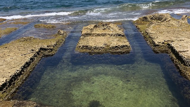 Rock Pools  Kachel Vorschau