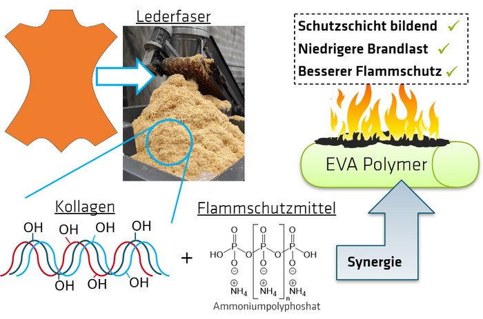 Grafik: Die in Lederfaser enthaltenen Proteine wie Kollagen sind Synergisten f&uuml;r konventionelle Flammschutzmittel in Polymeren wie Ethylenvinylacetat 