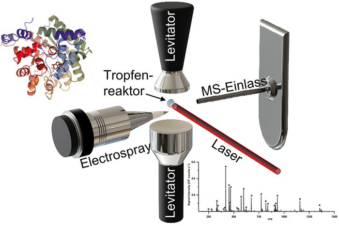 Paper des Monats 04/2023: TF Analytical Sciences Schematic of the MS-online-monitoring of chemical reactions in levitated droplets