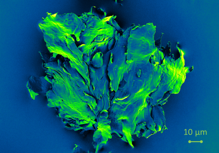 Scanning electron microscopy micrograph of a microplastic particle (origin: garbage bag)