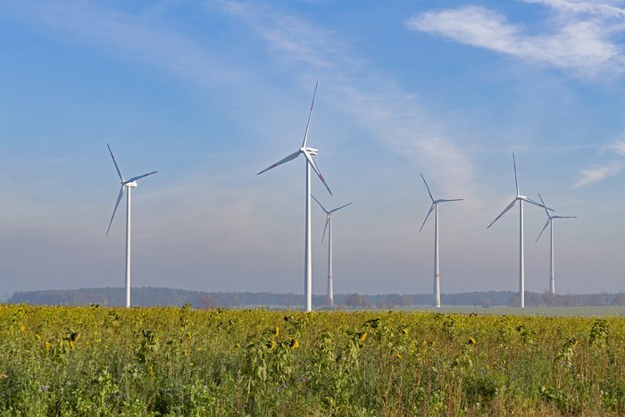 Wind turbines on a meadow.
