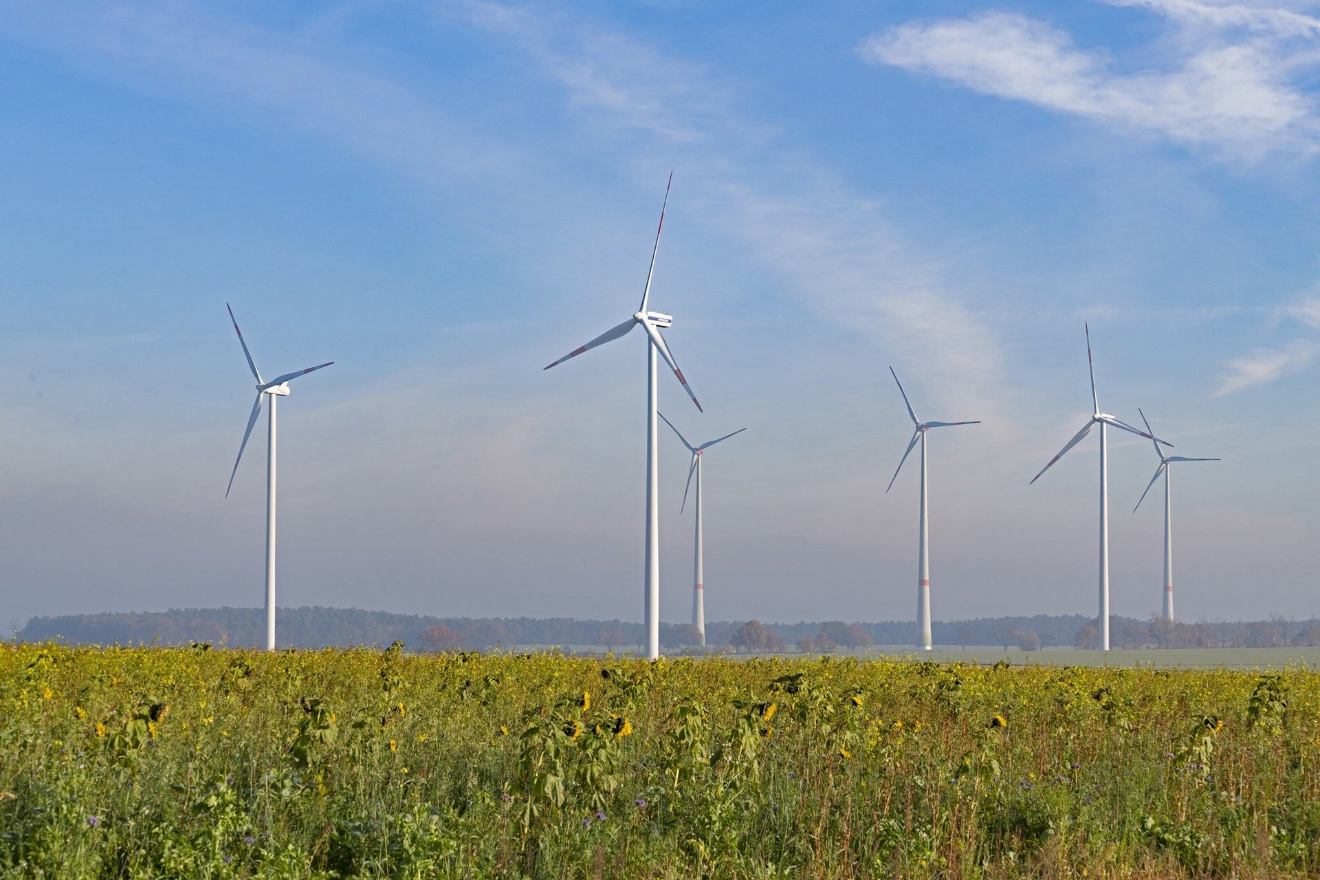 Wind turbines on a meadow.