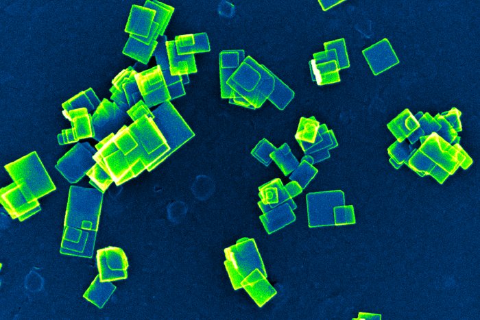 Nanopartikel unter dem Rasterelektronenmikroskop