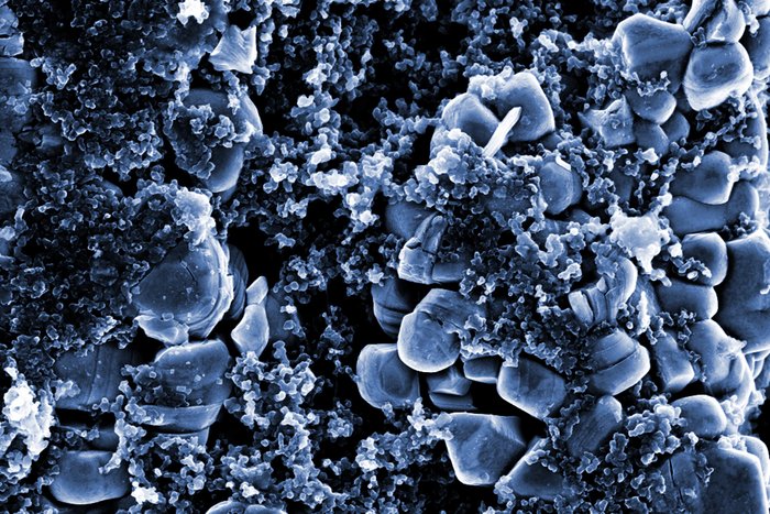 Scanning electron microscope image of the positive electrode of a lithium-ion cell. The smaller carbon nanoparticles are intended to improve conductivity.