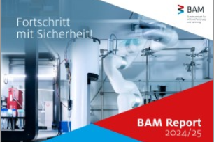 Jahresbericht BAM 2025